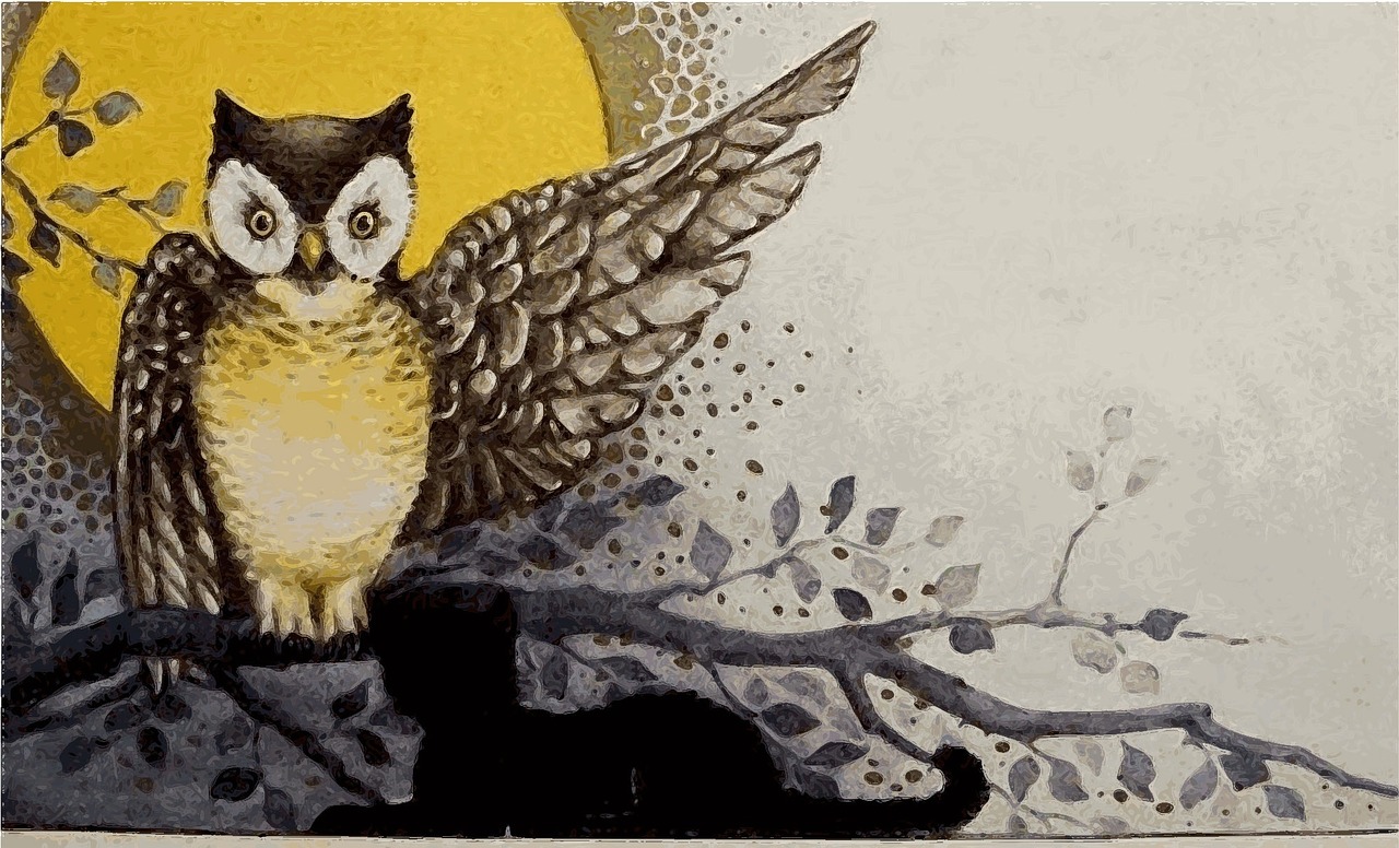 owl vintage old card free photo