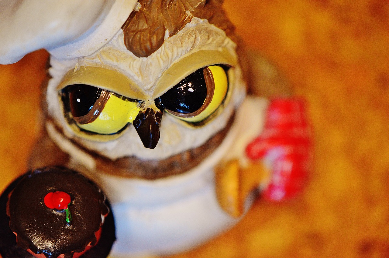 owl bake baker free photo