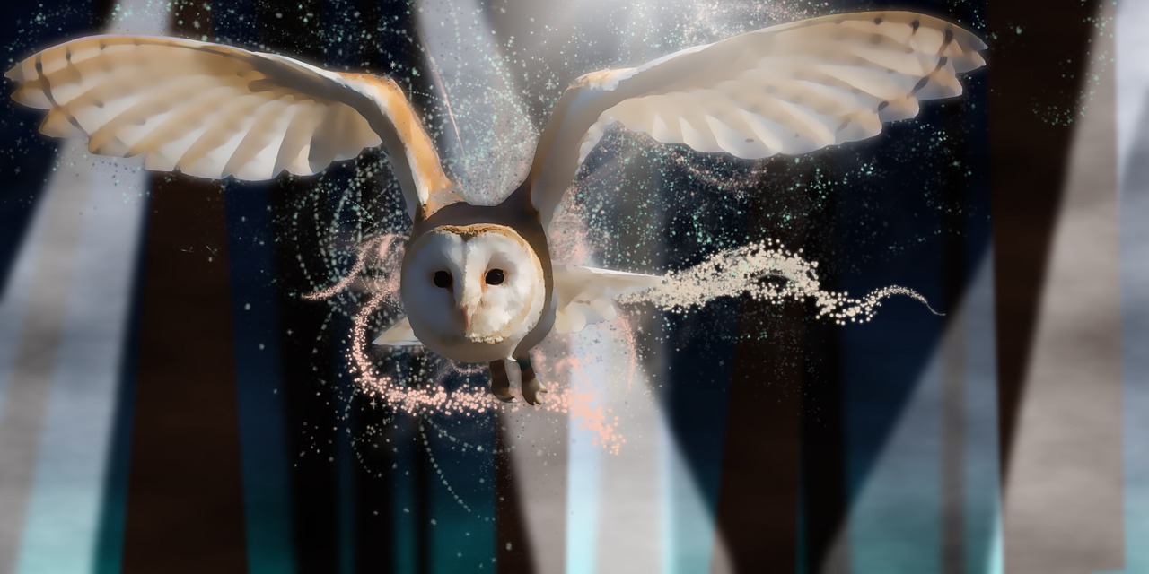 owl night magic free photo