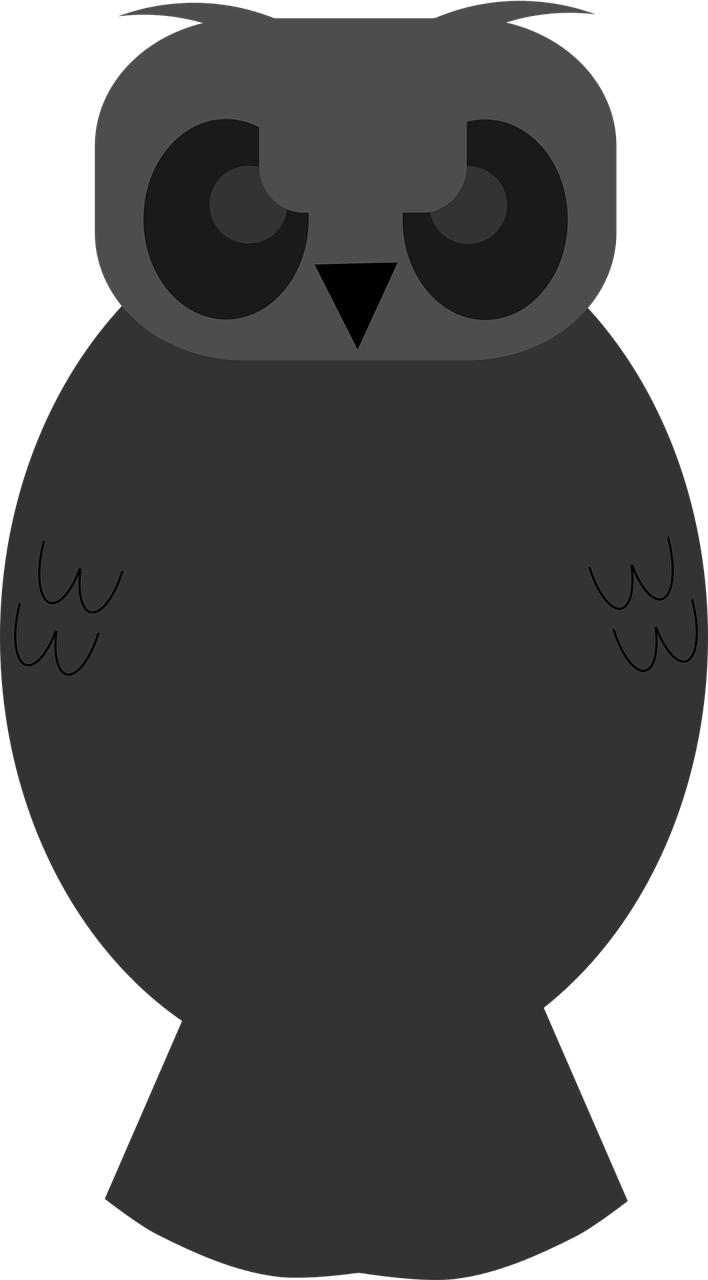 owl night silhouette free photo
