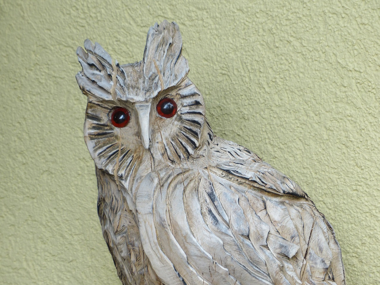 owl figure face free photo