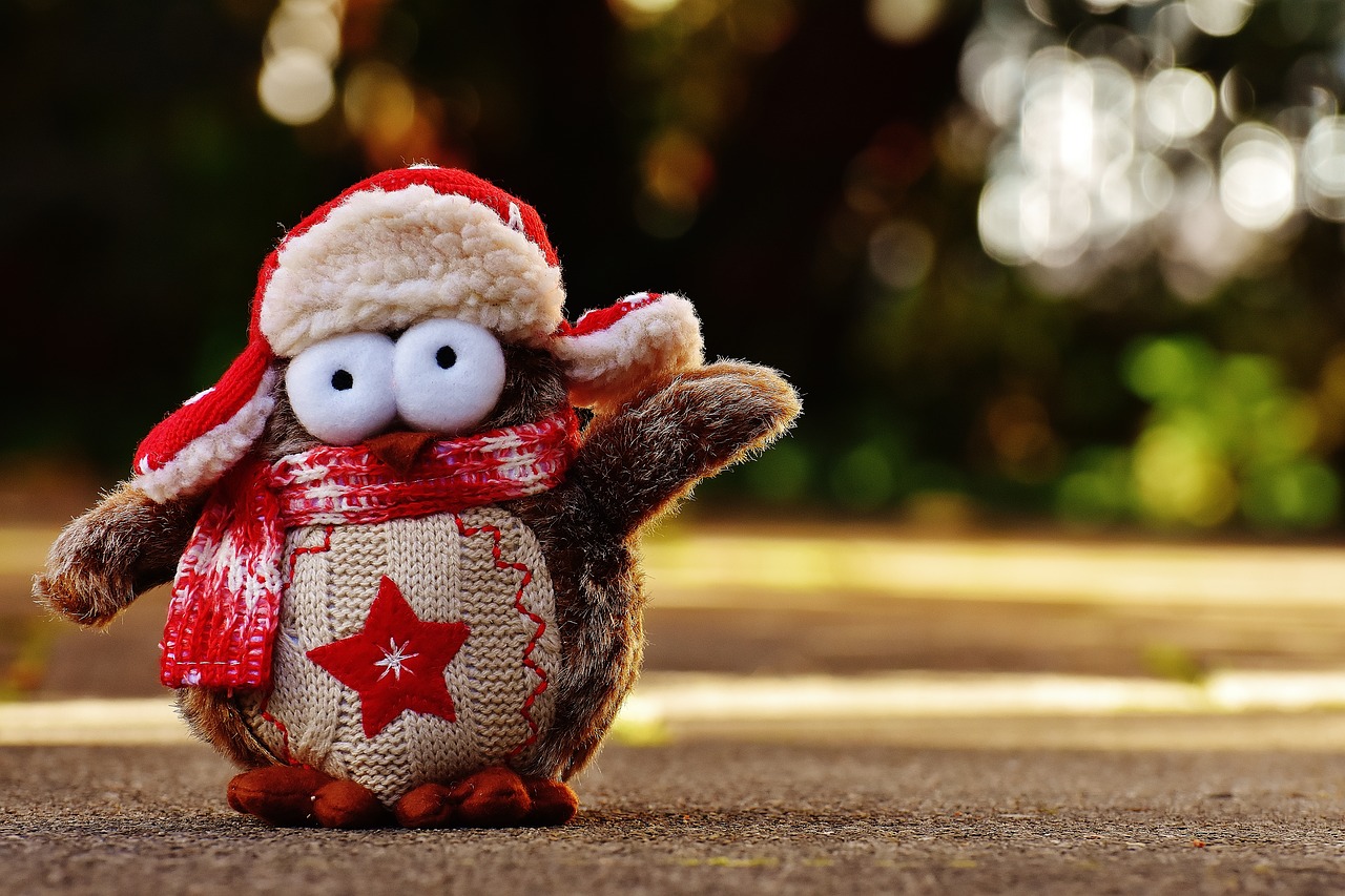 owl plush winter free photo