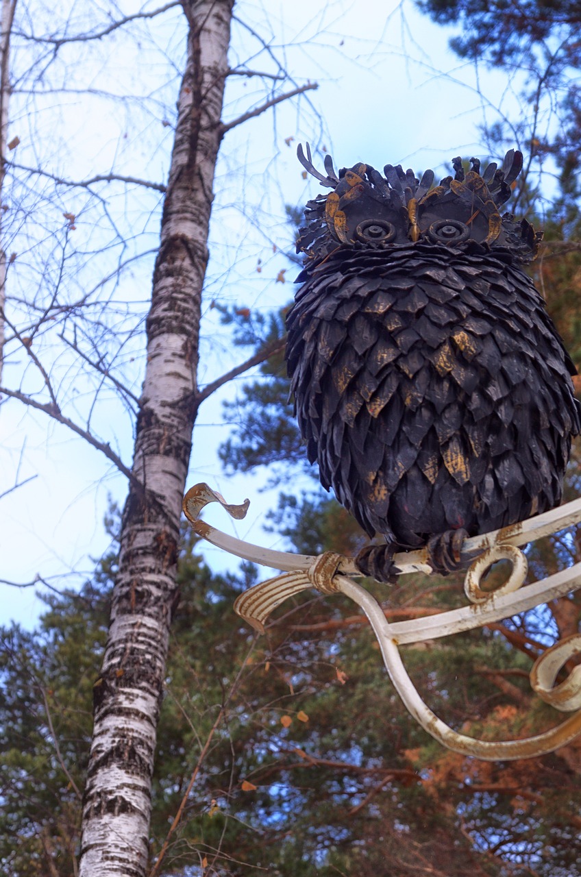 owl tree sculpture free photo