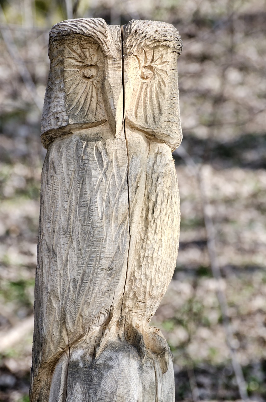 owl wood carving free photo