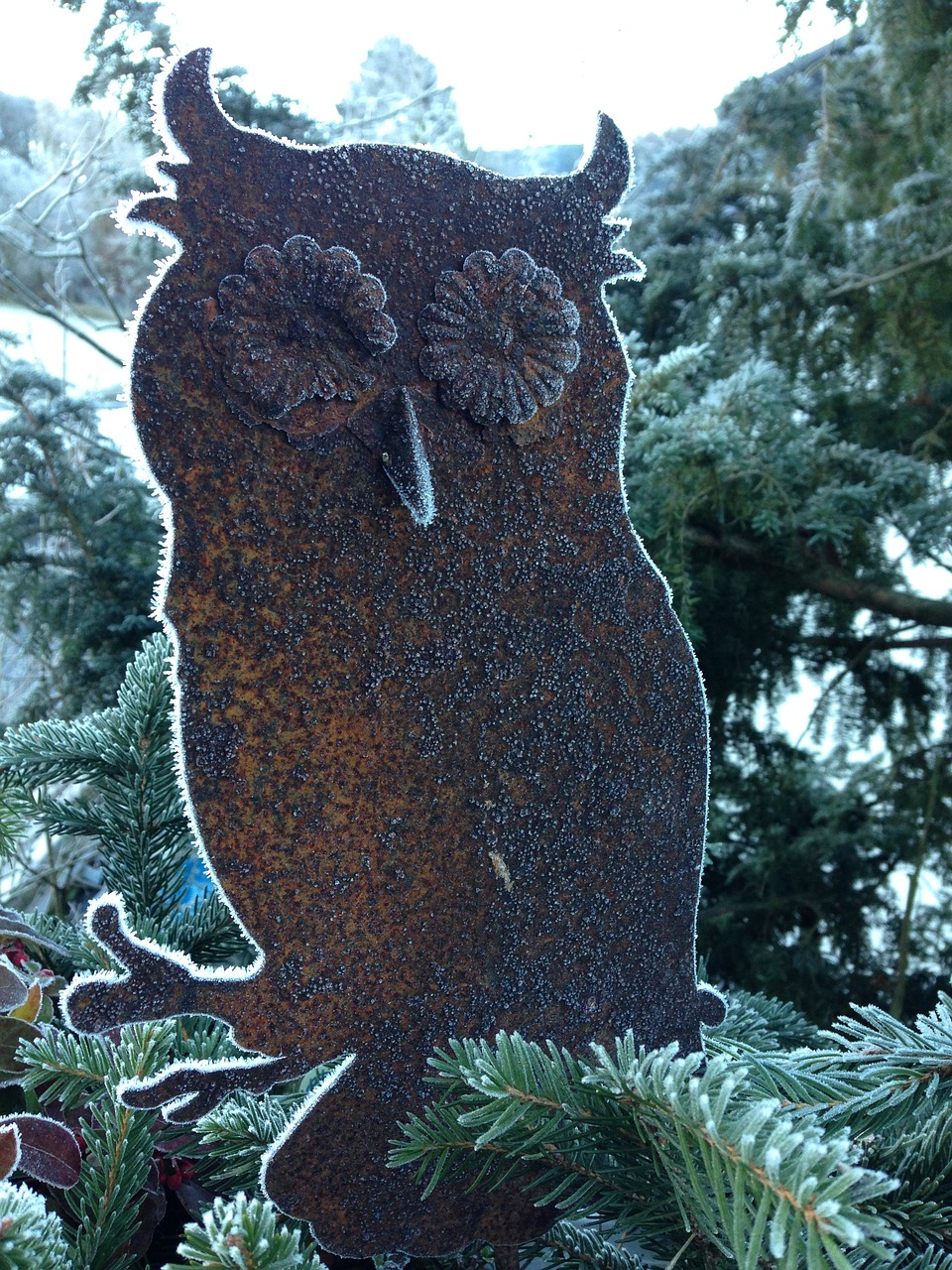 owl stainless frozen free photo