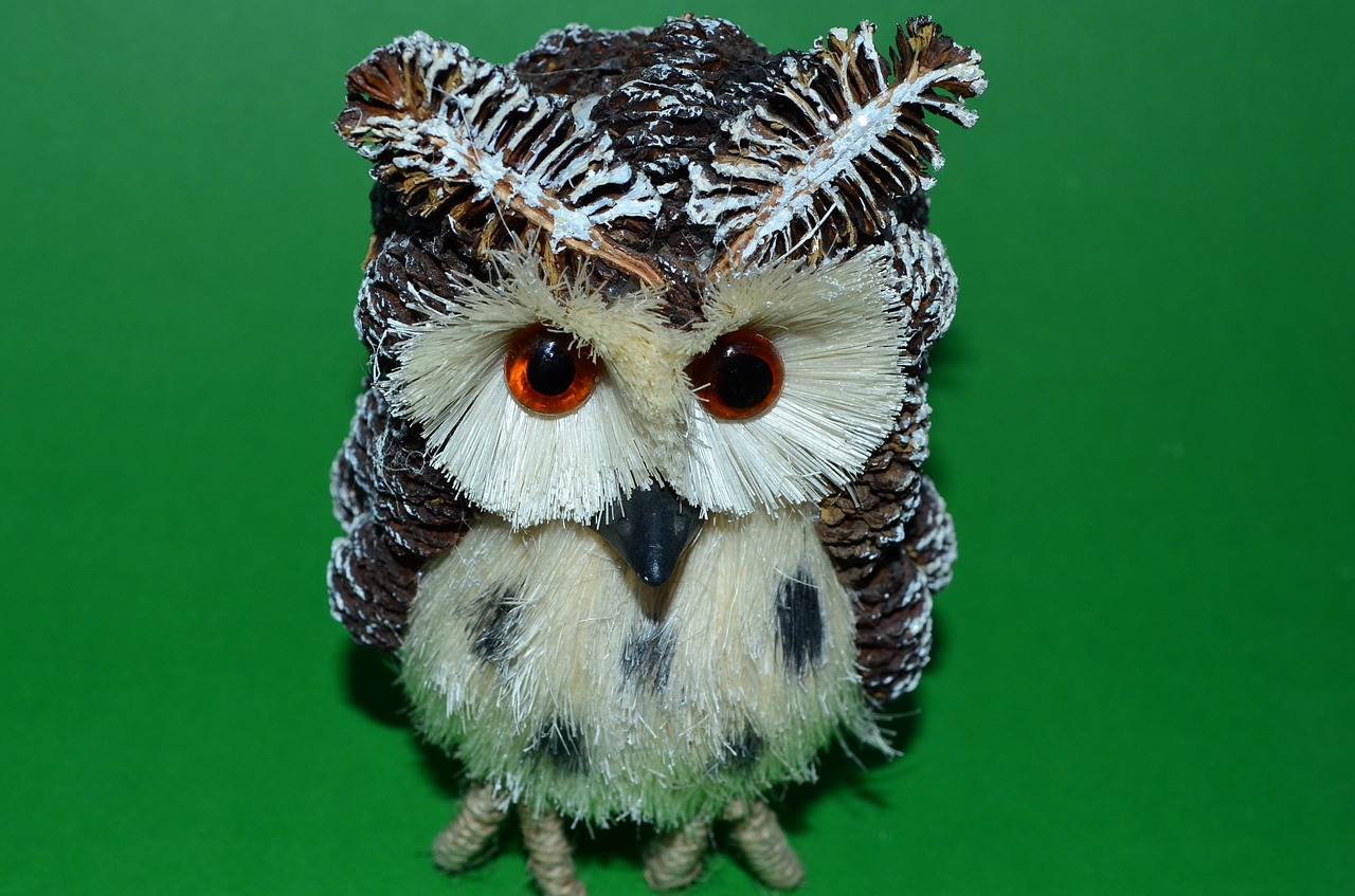 owl odd job green free photo