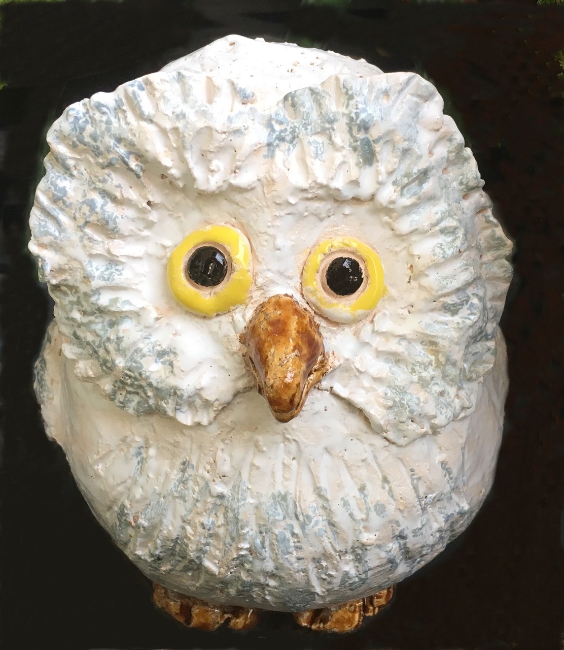 owl white weel free photo