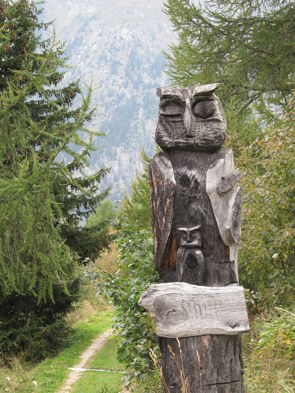 owl holzfigur wood free photo