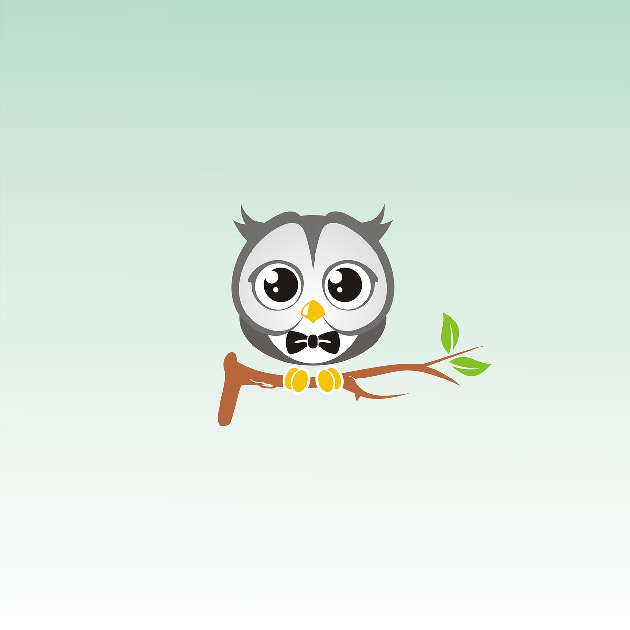owl bird cute free photo