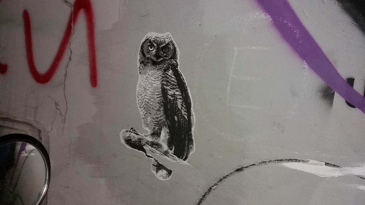 owl paint wall free photo