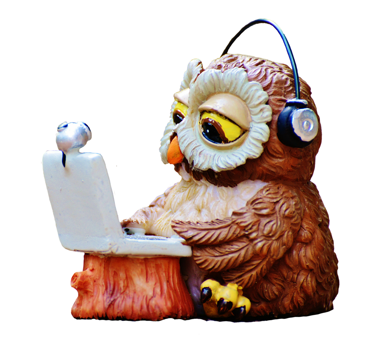 owl computer headphones free photo