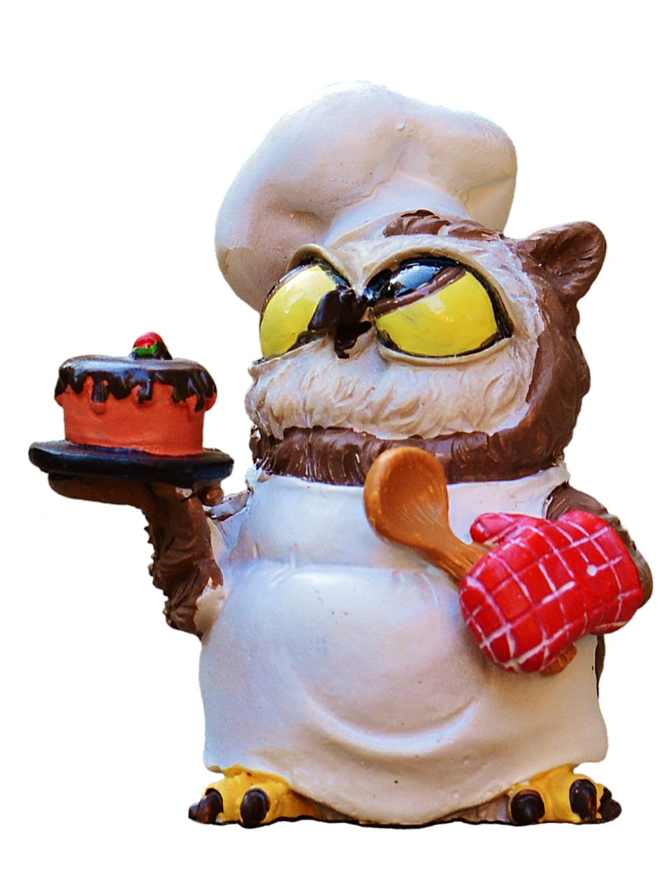 owl bake cook free photo