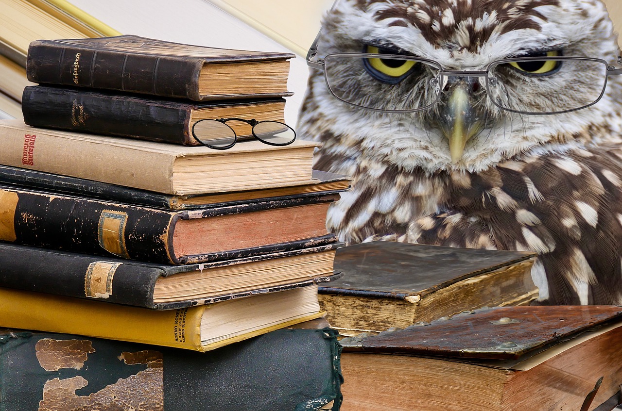 owl books stack free photo
