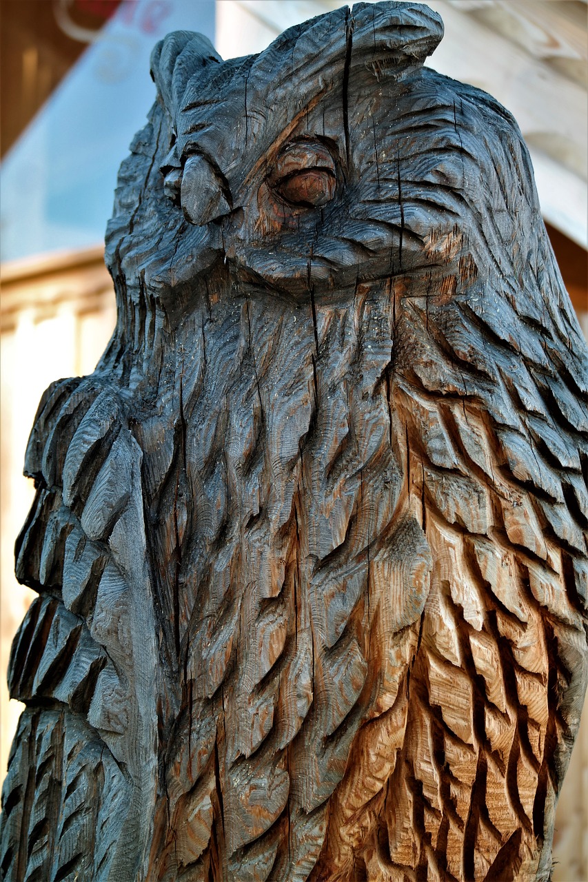 owl wood carving free photo