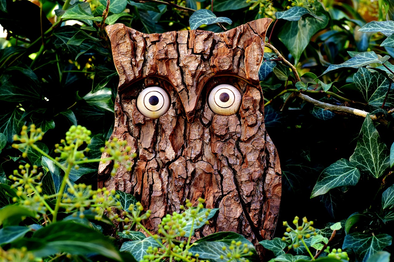 owl tree bark nature free photo