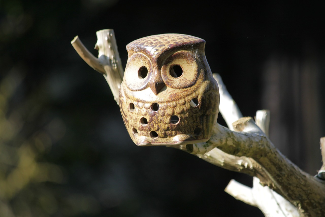 owl ceramic owl nesting box free photo