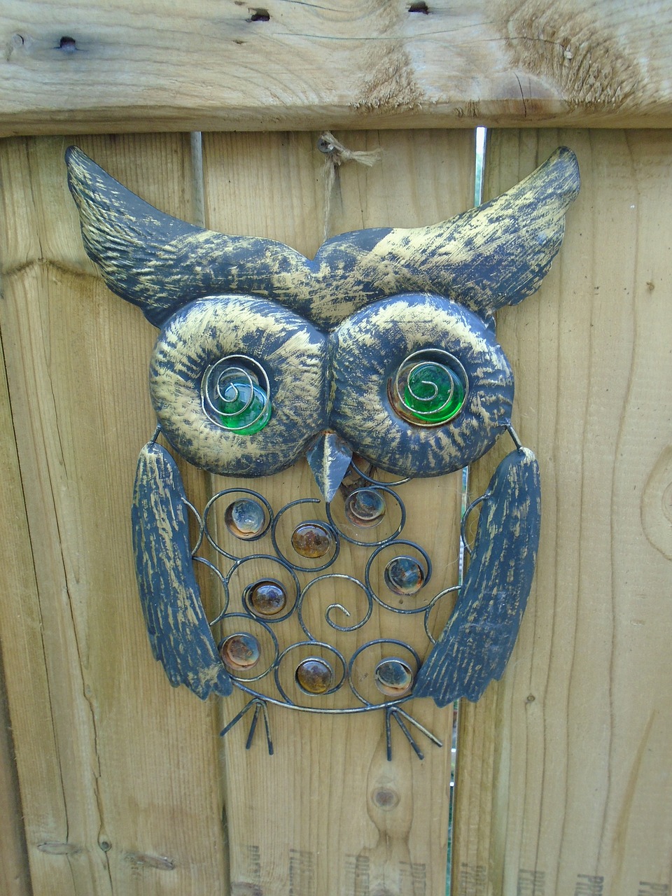 owl bird character free photo