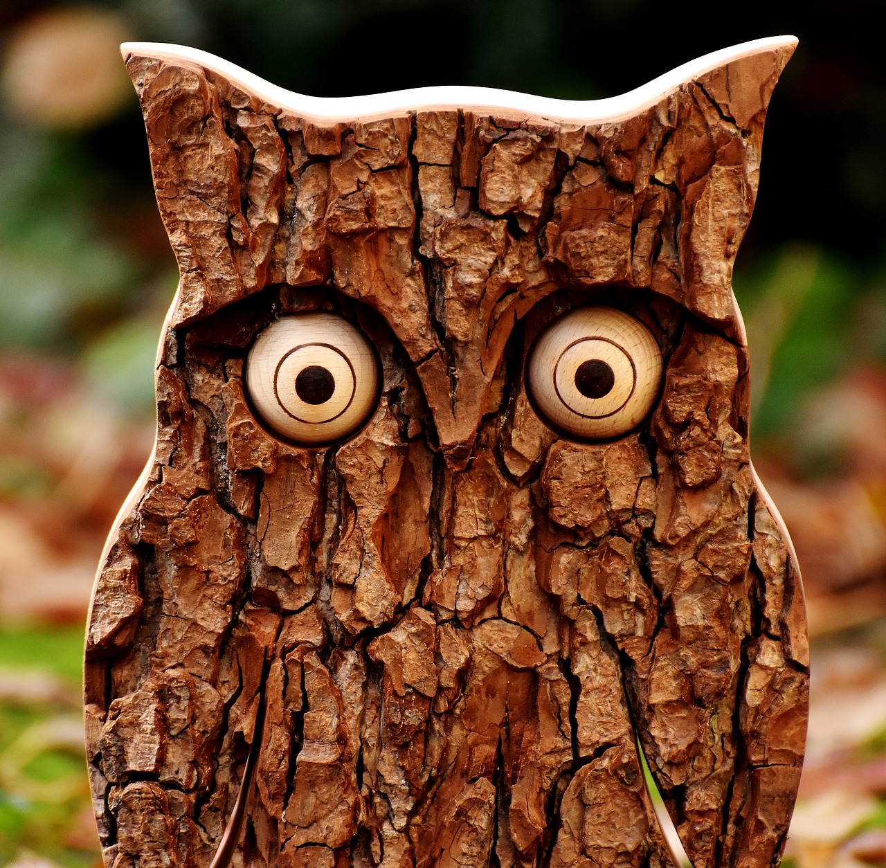 owl tree bark animal free photo