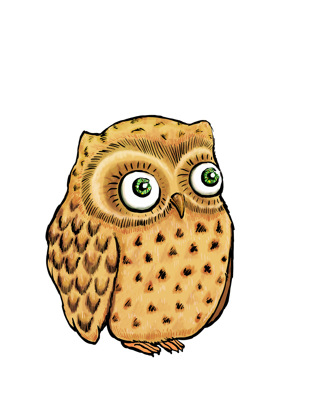 owl cute owl owl illustration free photo