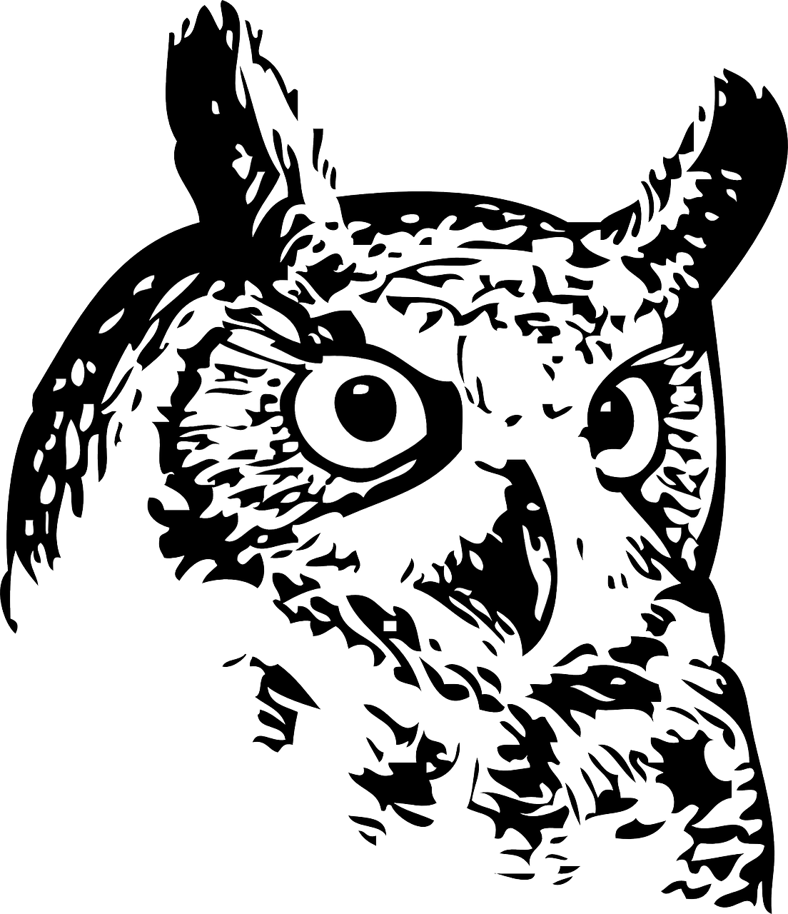 owl bird black and white free photo