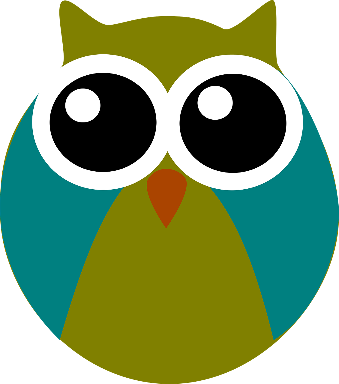 owl  bird  Free vector graphics free photo