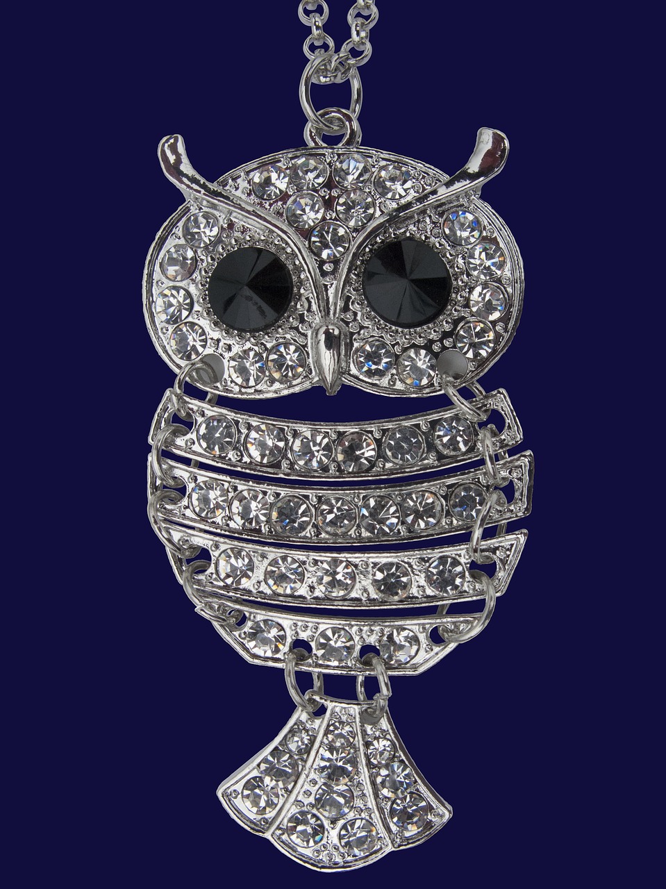 owl  brilliant  jewel free photo