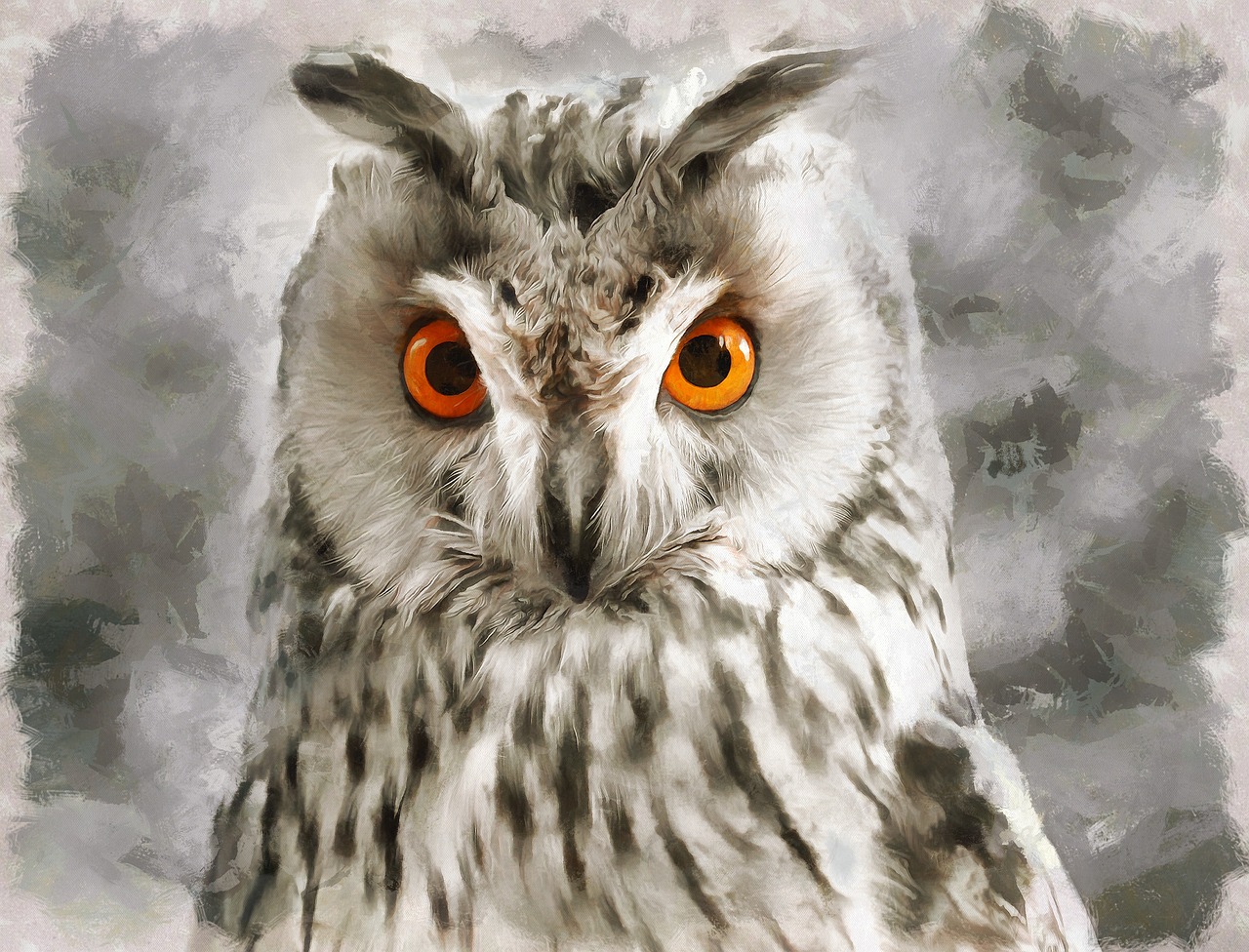 owl  eyes  grey free photo