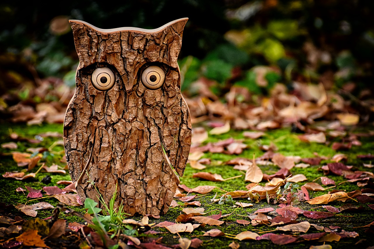 owl  tree bark  animal free photo