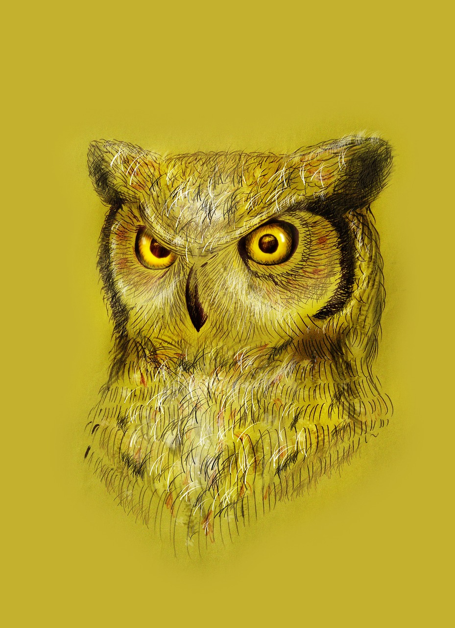owl  figure  sketch free photo
