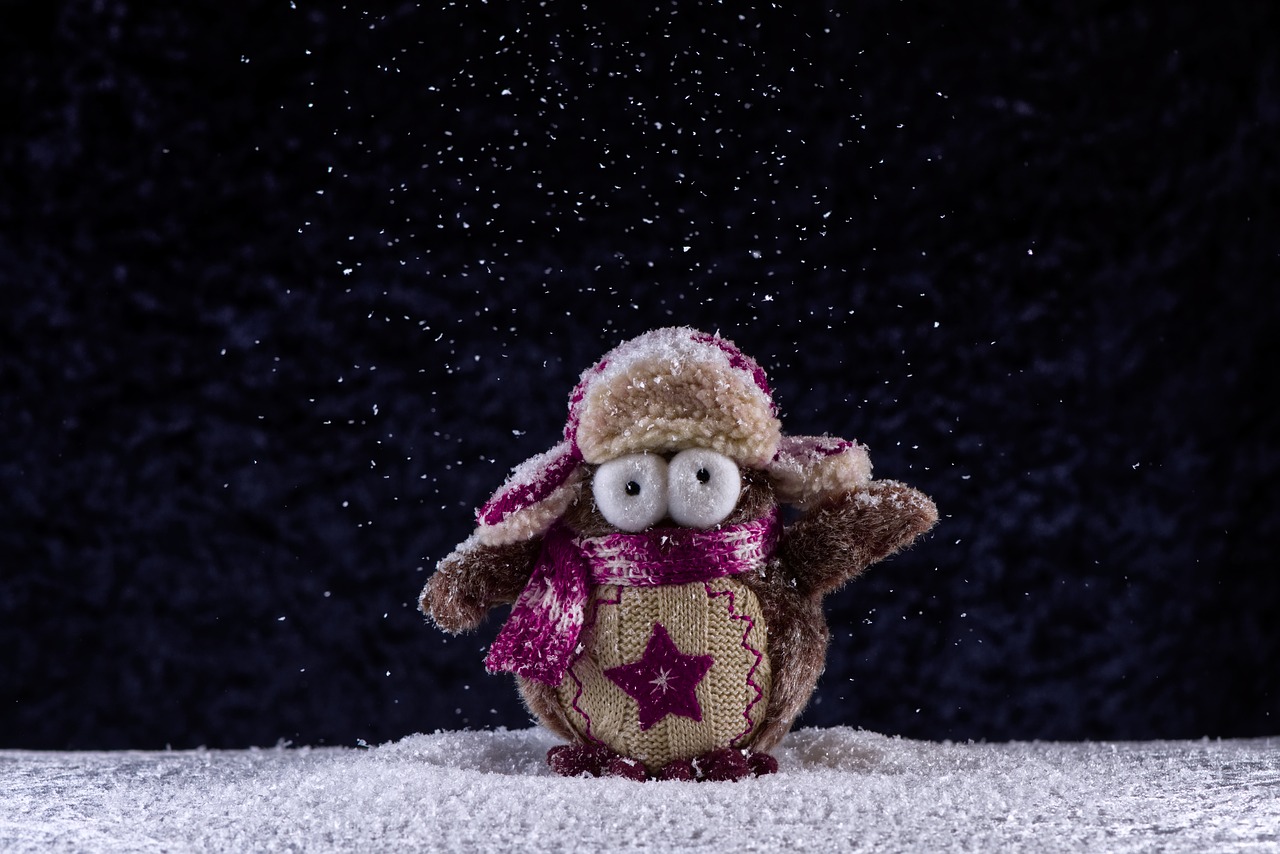 owl  winter  snow free photo