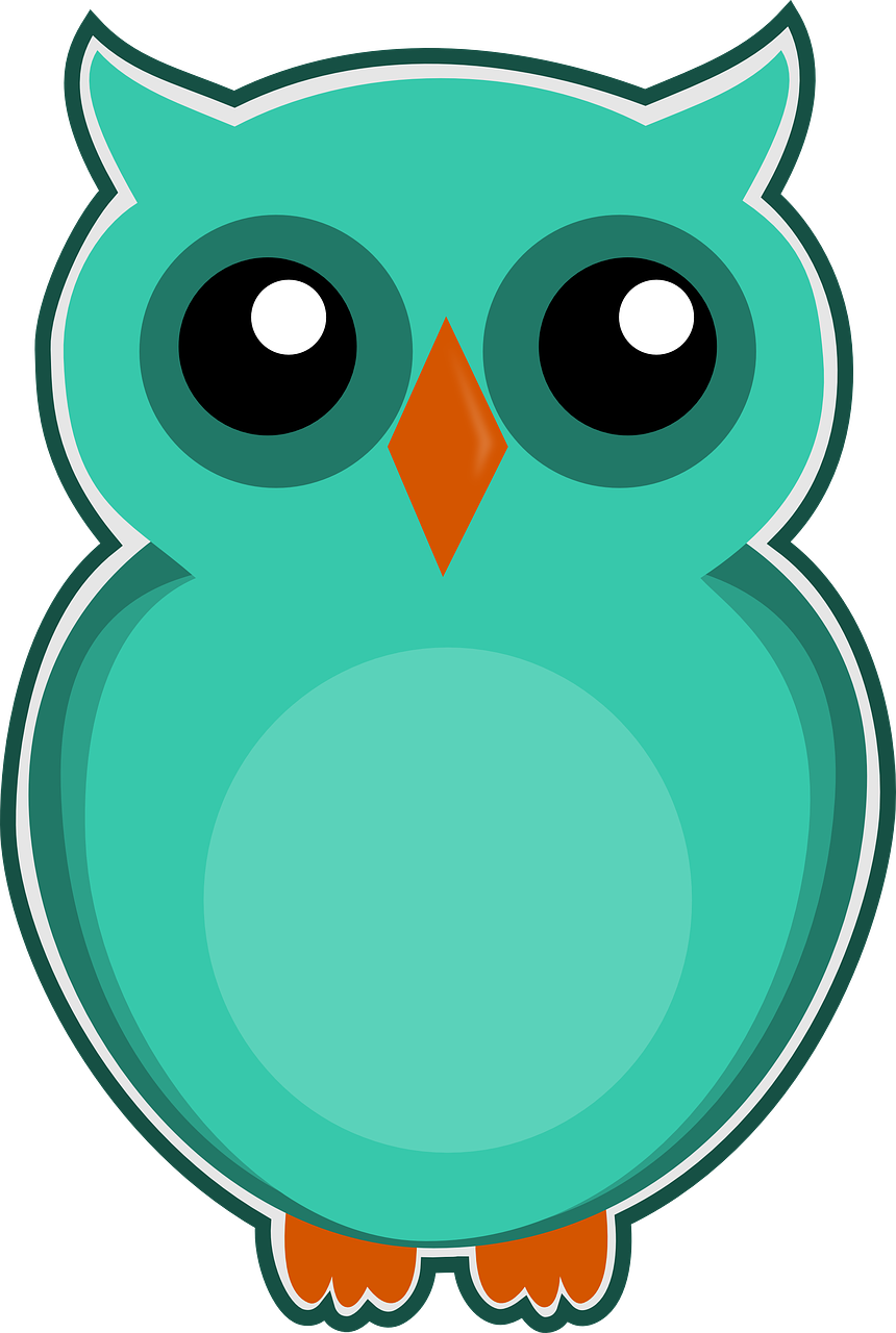 owl blue green free photo