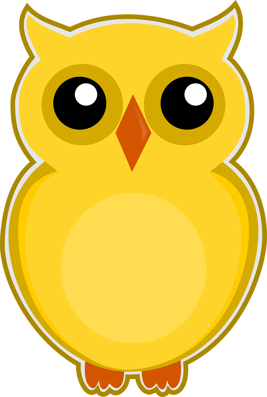 owl yellow bird free photo