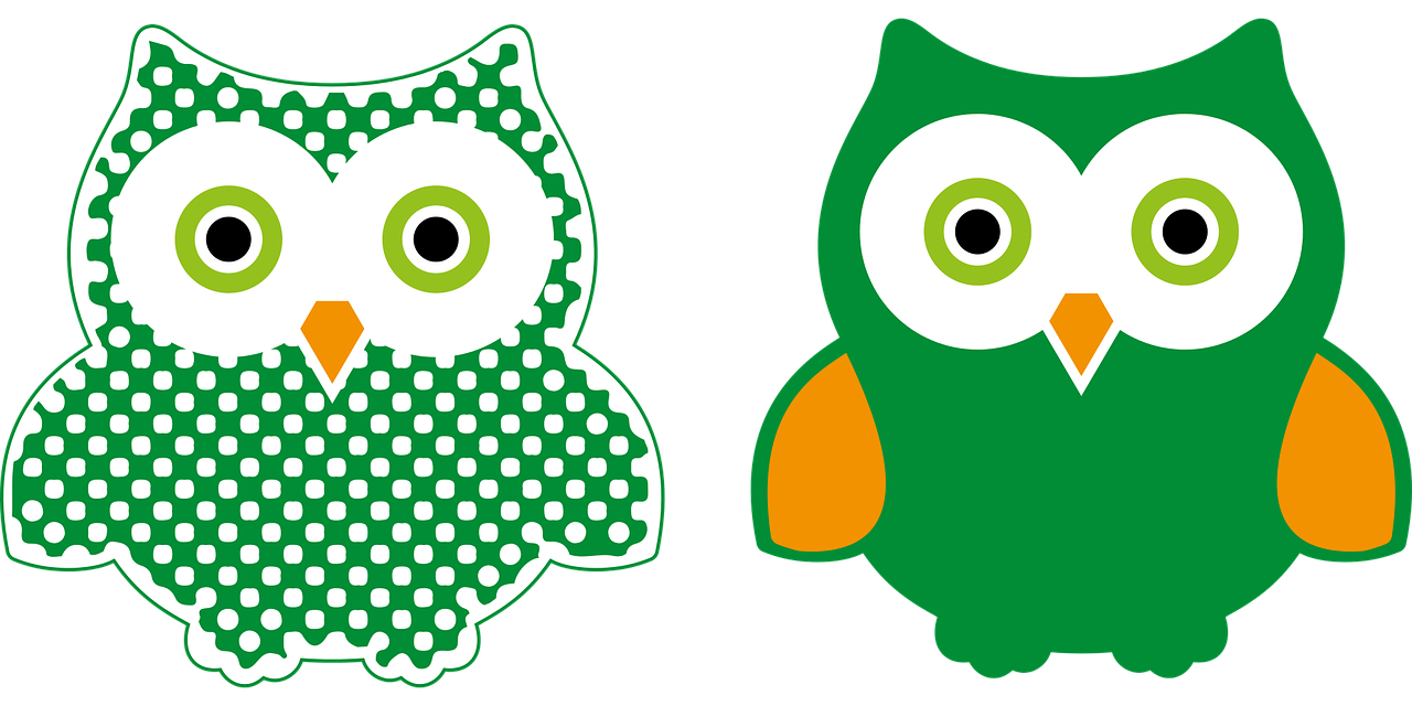 owl  green  bird free photo