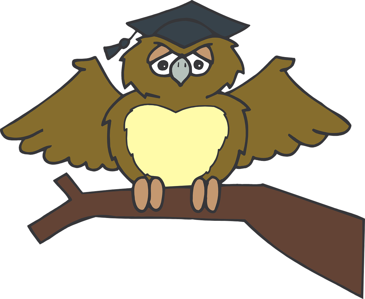 owl graduate sitting free photo