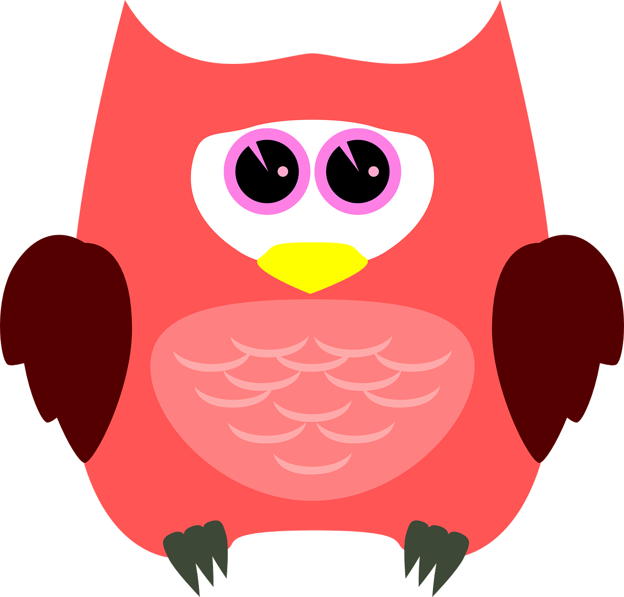owl bird animal free photo