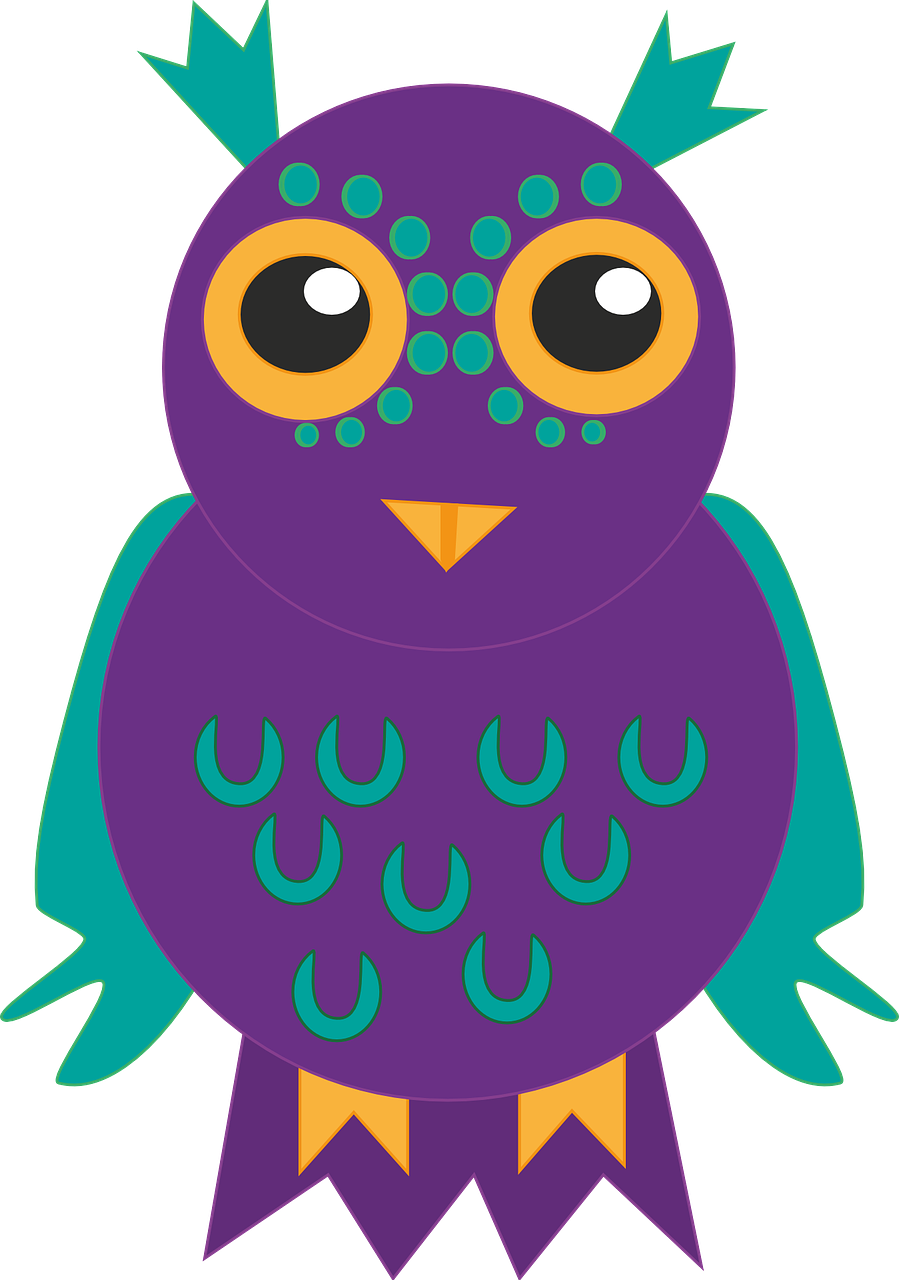 owl bird purple free photo