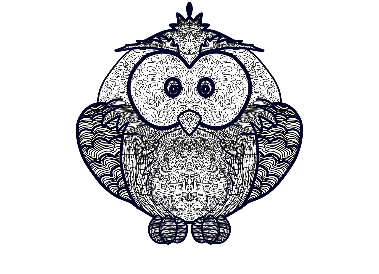 owl illustration detailed owl free photo