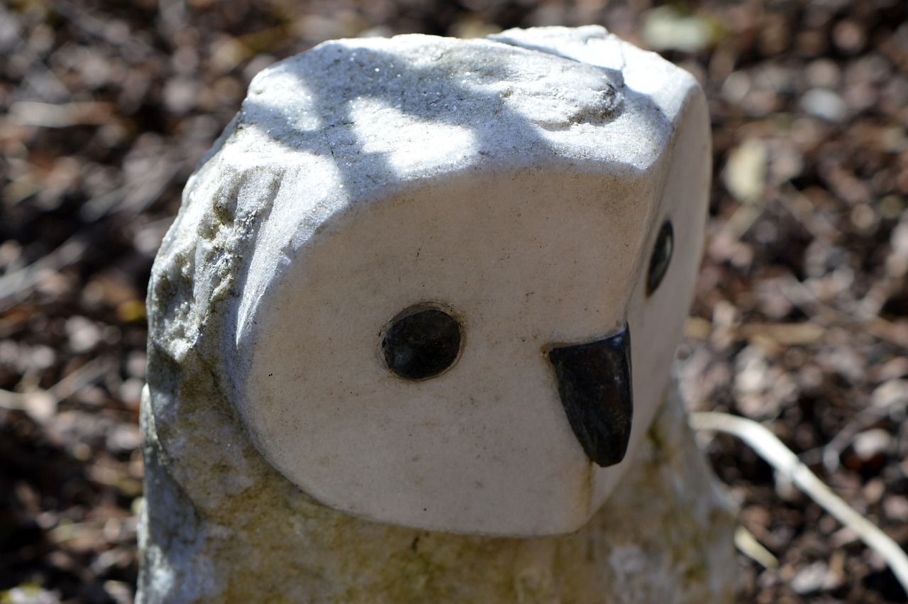 owl stone white free photo