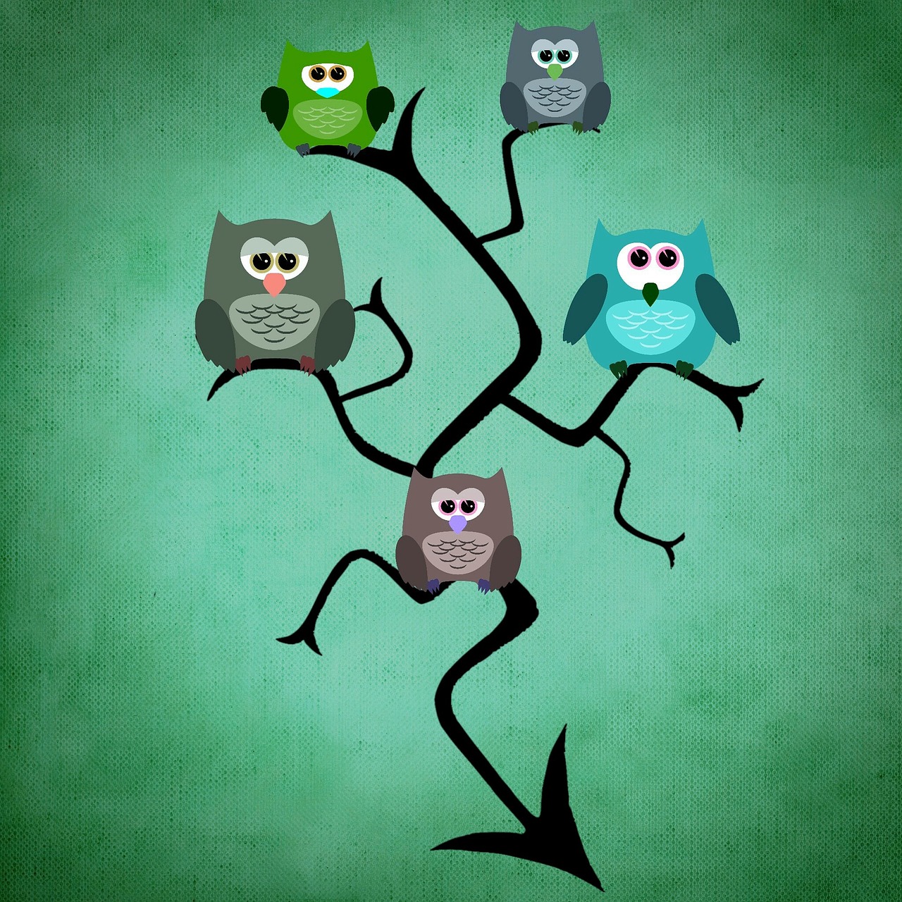 owl tree funny free photo