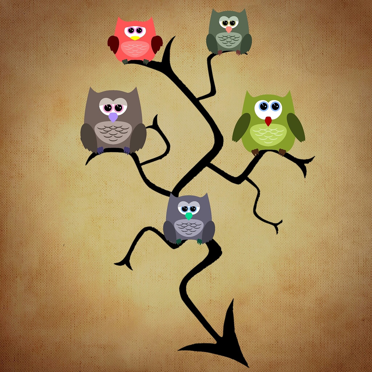 owl tree funny free photo