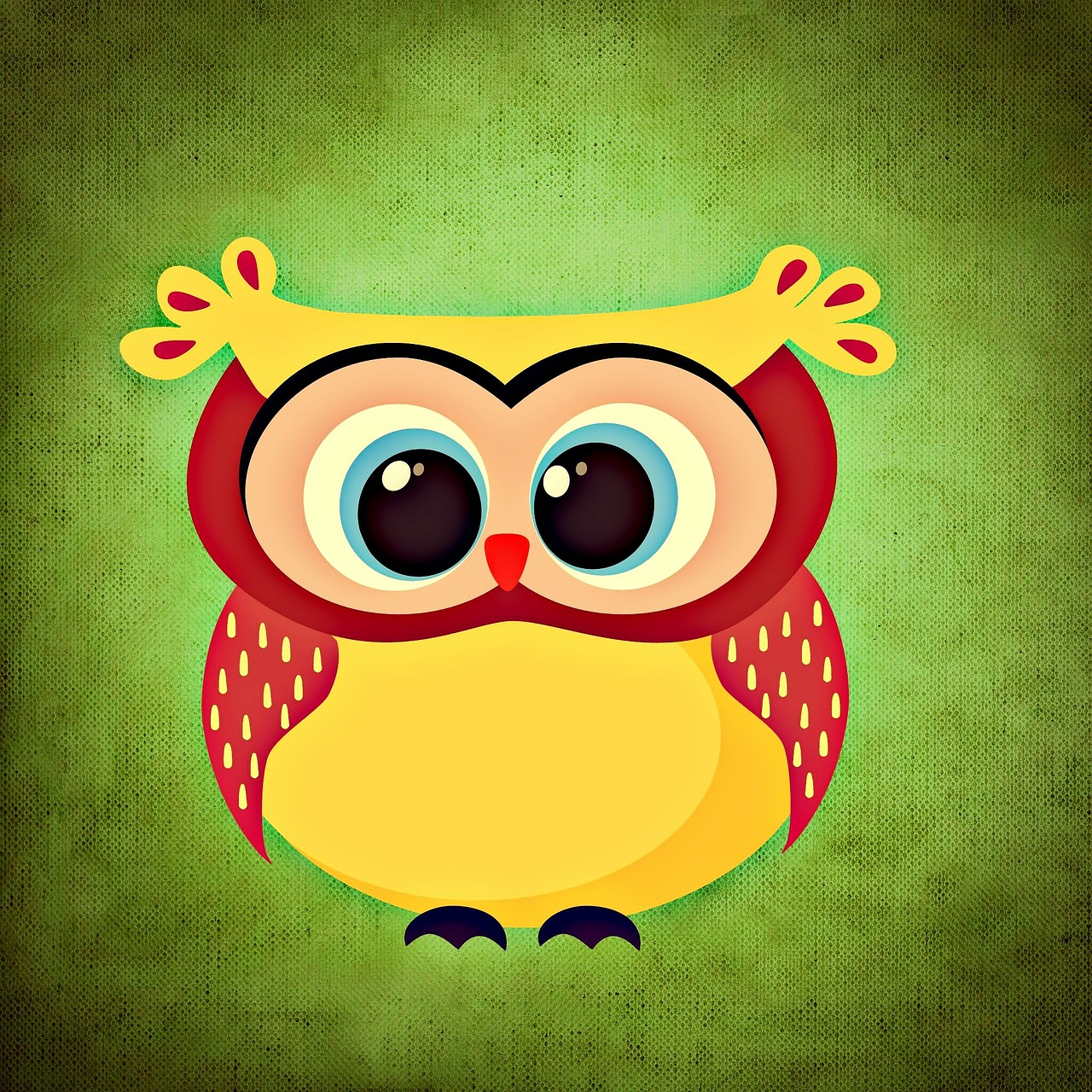 owl colorful funny free photo