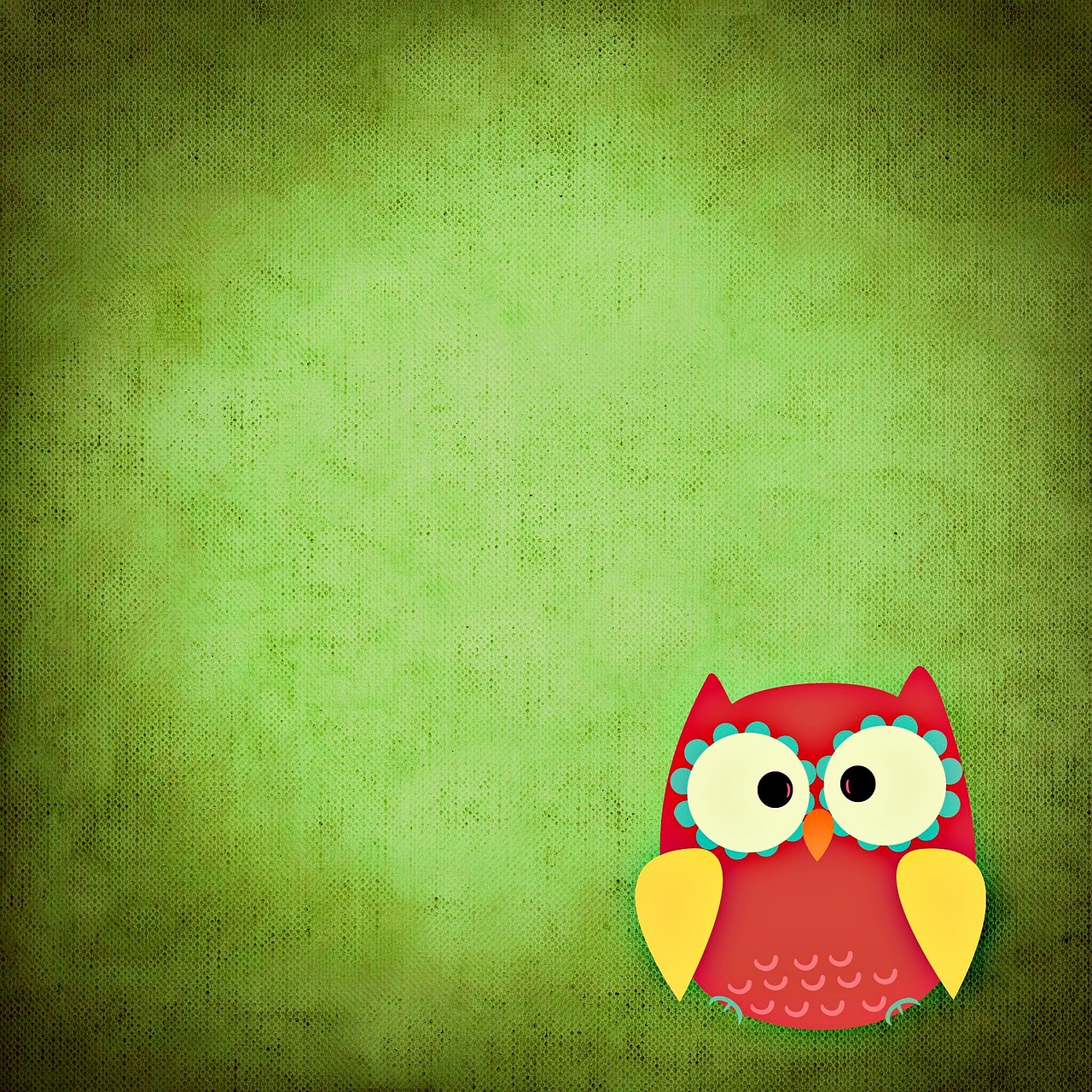 owl colorful funny free photo