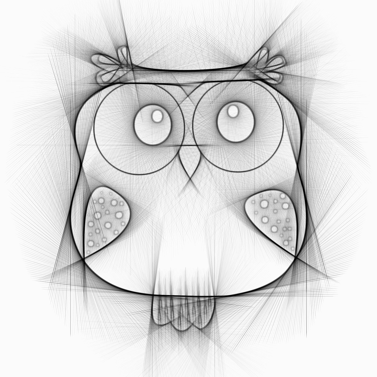 owl bird drawing free photo