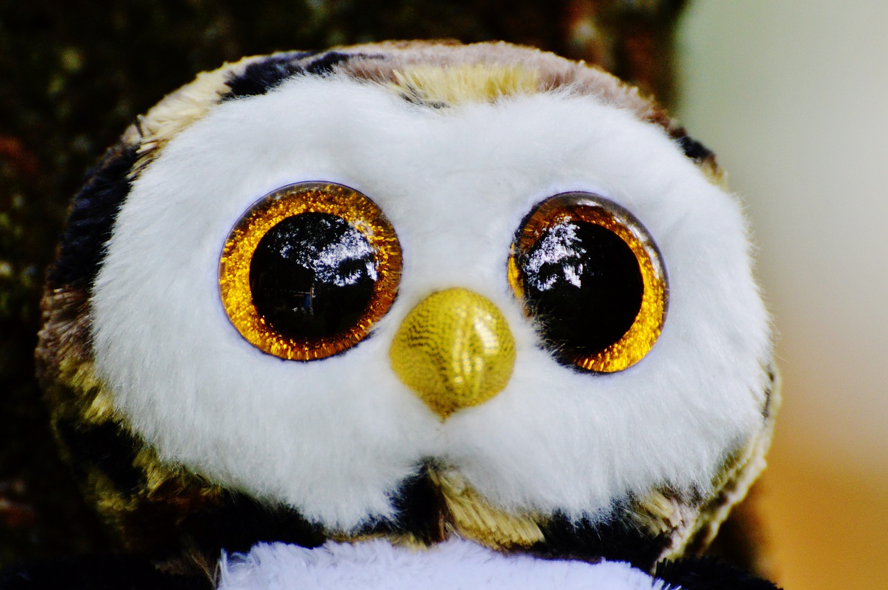 owl glitter stuffed animal free photo