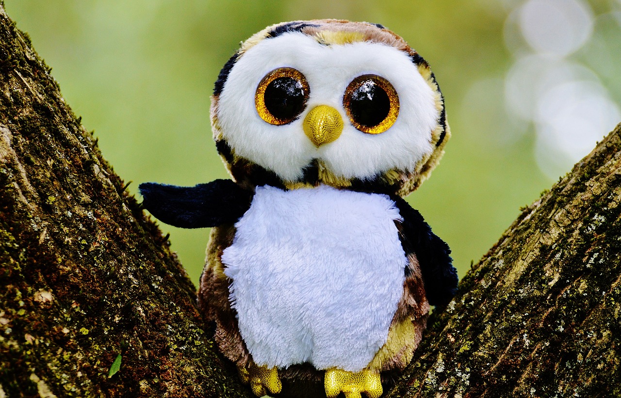 owl glitter stuffed animal free photo