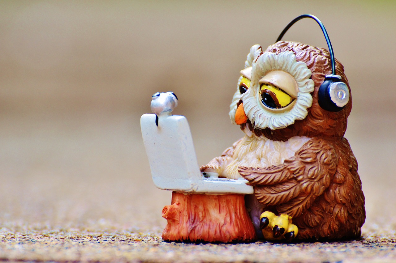 owl computer headphones free photo