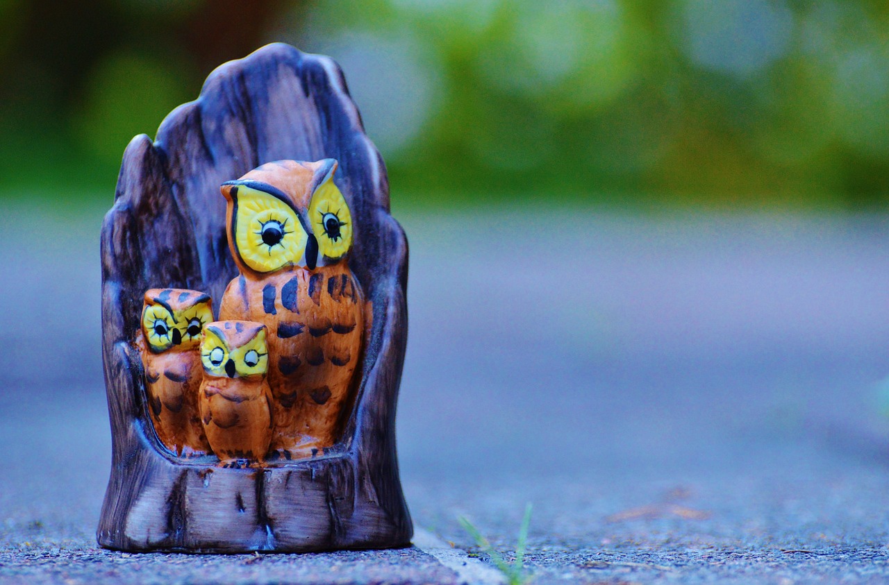 owl mama children free photo