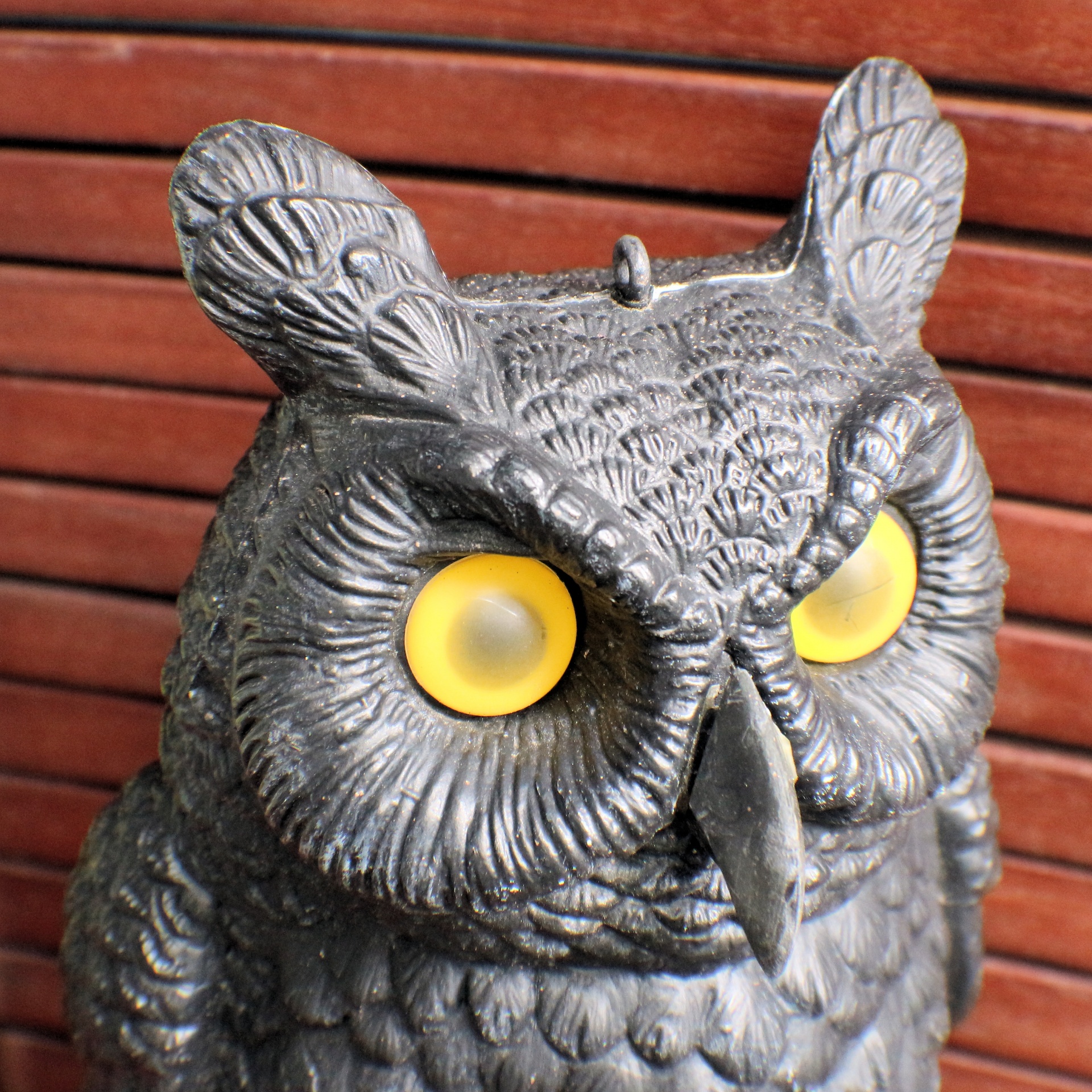 plastic owl closeup free photo