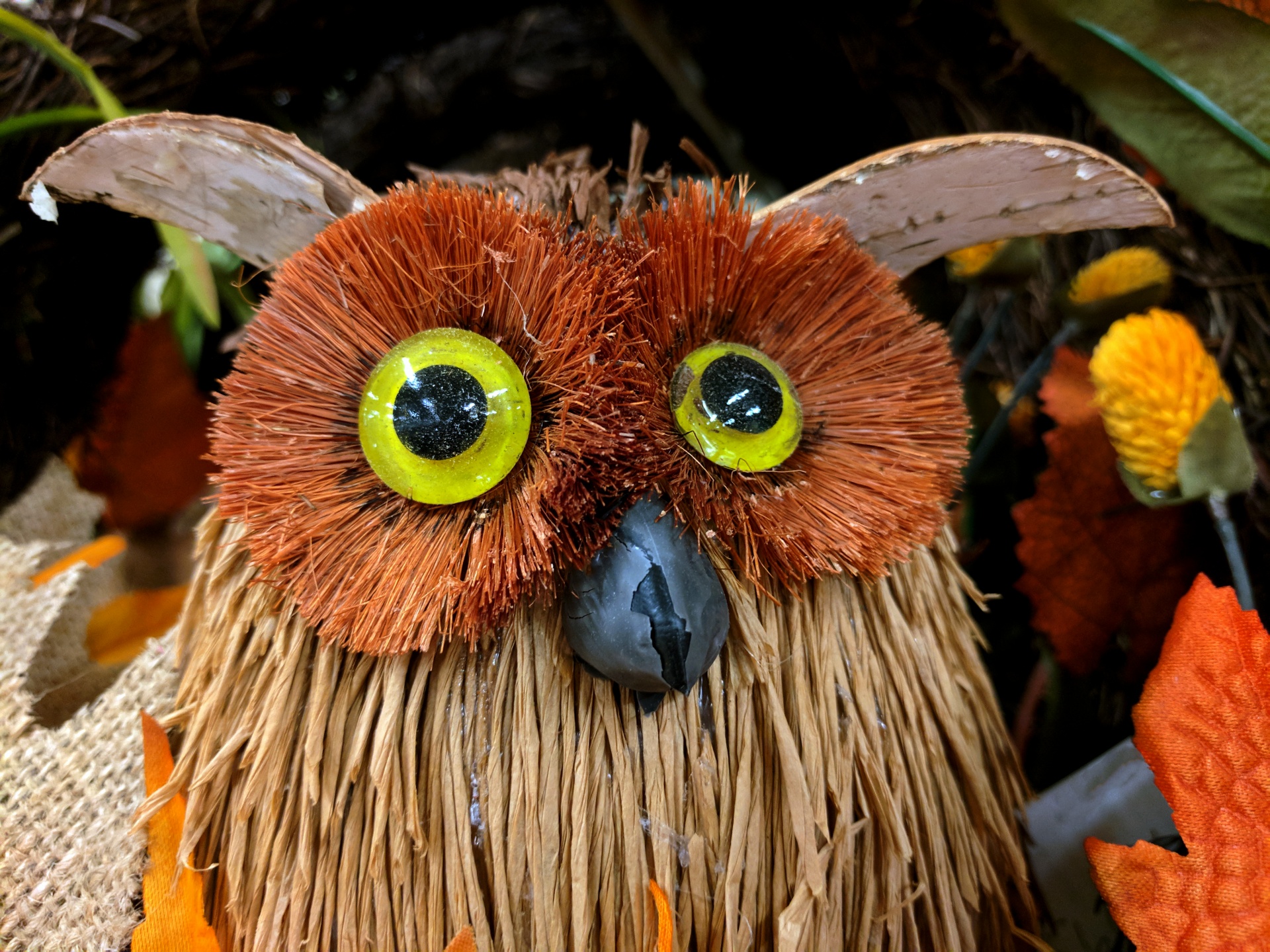 owl autumn decoration free photo