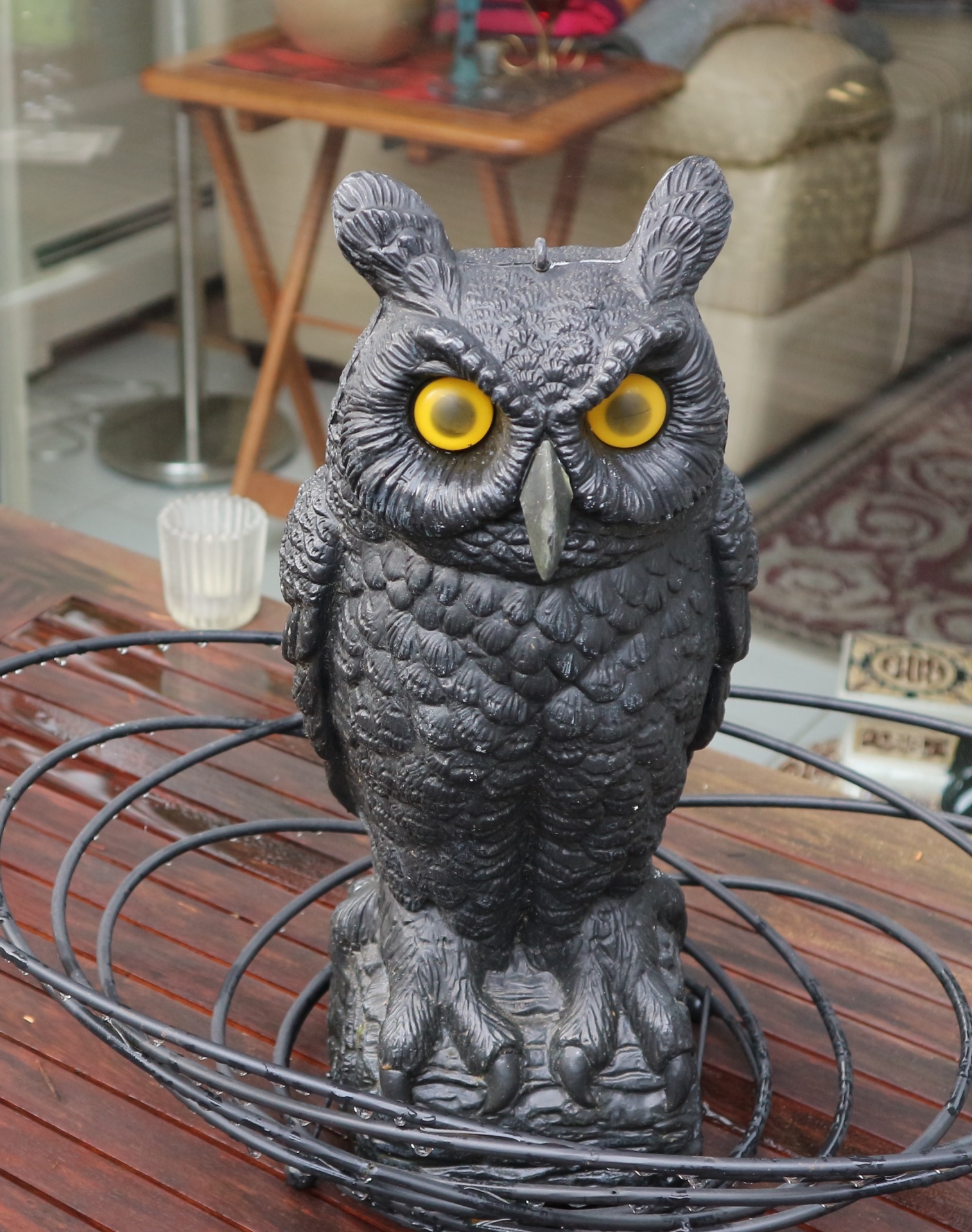 owl plastic table free photo